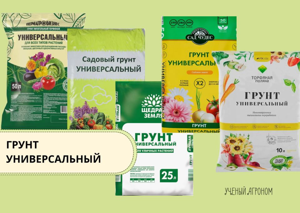 ������ ������������� ����� ��� ������� �� ������ ��������