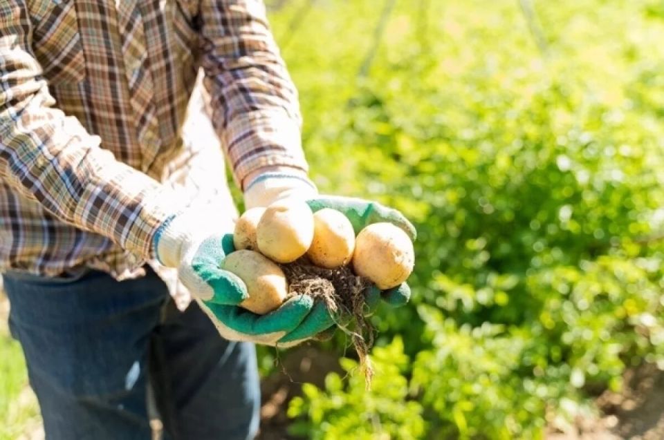 ������� ������� ��������� ��������� ����� ���������