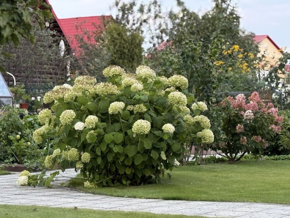 ���� ������� ����������� ��������� ������ 2026 ����