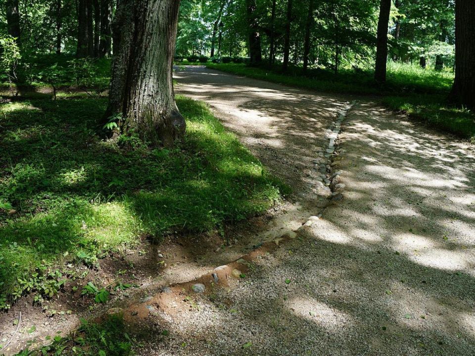 ��� �������� �������: ���������� ������� ����� �� ���� ����