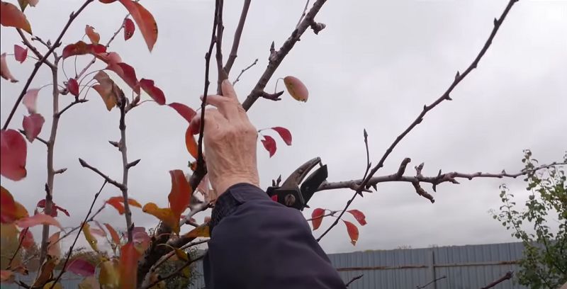 ��� �������� �������� �����: ������ ��� ��������� ��������