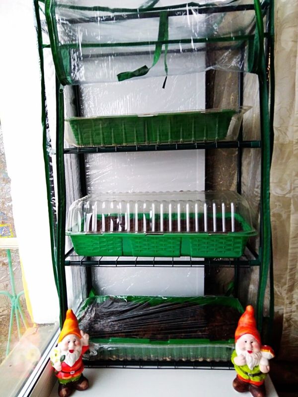 ��� ������� ������ ���� ����������� ���������� ��� �������