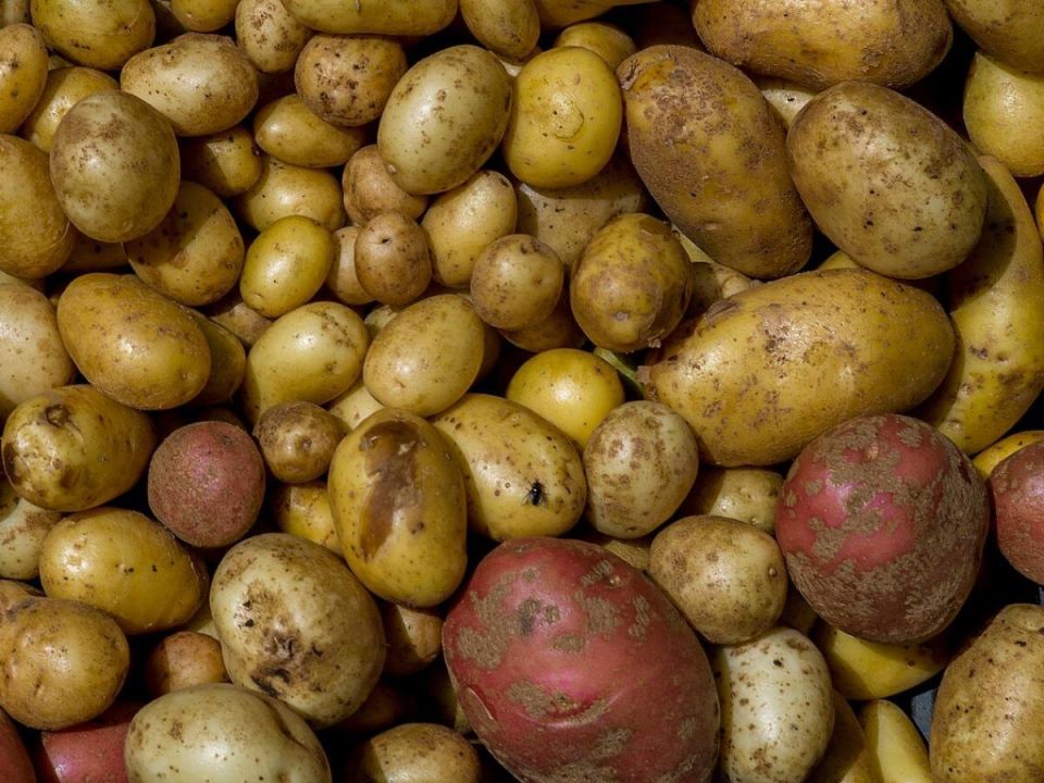 ������ ����� ��������� ��� ������ �������