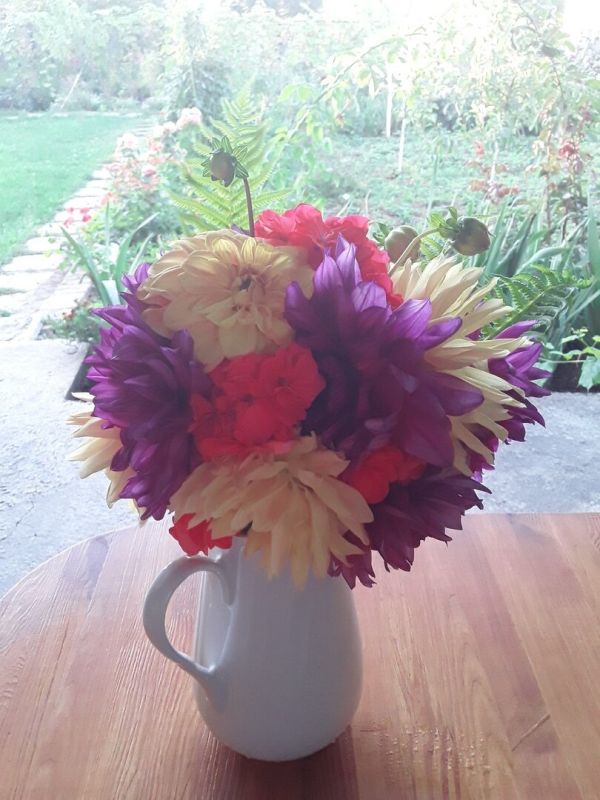 Секреты успешного сада: уроки, которым стоит учиться у природы