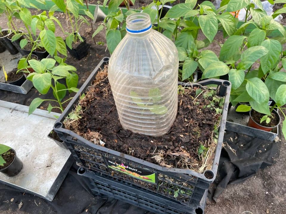 ��� ��������� ������ �������: ������� ��������� ������