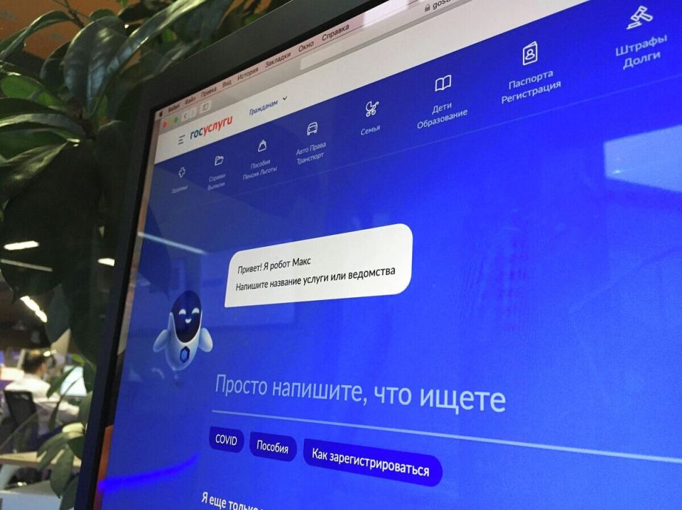 Депутаты требуют проверки блокировок на «Госуслугах» после жалоб граждан