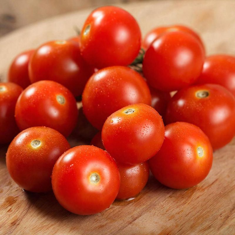 Солнечные помидоры: как вырастить черри на балконе или подоконнике