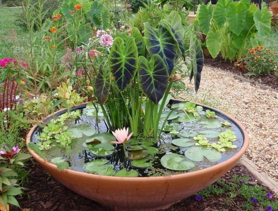 12 ���������� ������� ��� ����-�������� � ����� ����