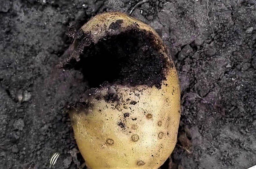 ��������: ��� ��������� ������ �� ����� �������� ���������