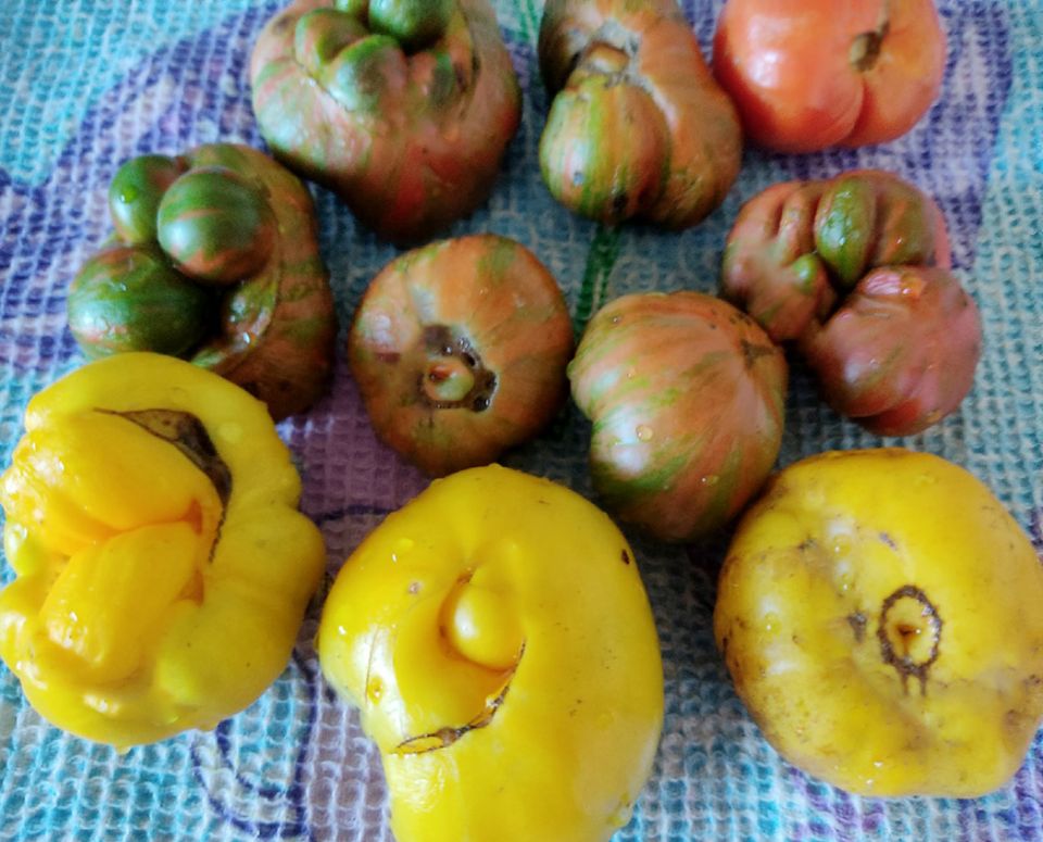 Как приготовить вкусный соус из зеленых помидоров: простой рецепт на зиму